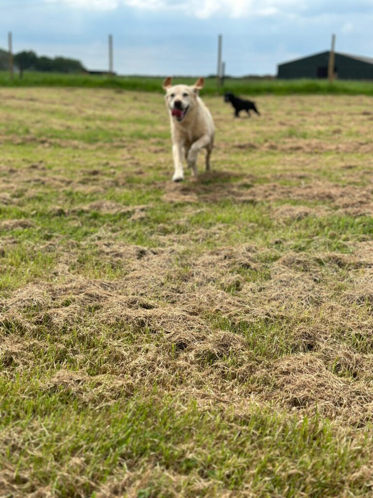 8ab85103 aa34 4c6d 8699 4816d9cae58b 768x1024