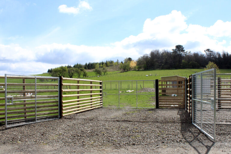 Outside Car Park One 768x512