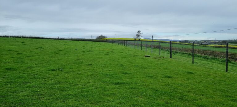 20240327 090455 768x346