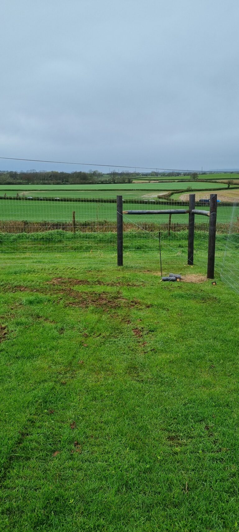 20240327 090502 768x1705