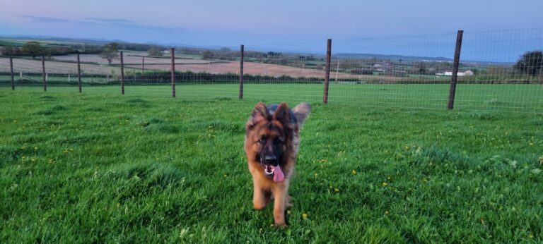 20240409 200035 768x346