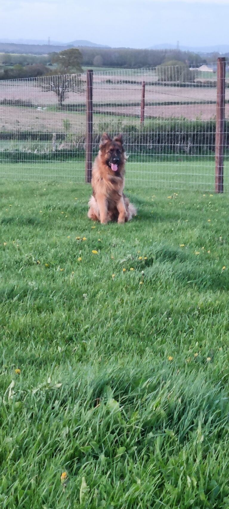 20240409 200054 768x1705