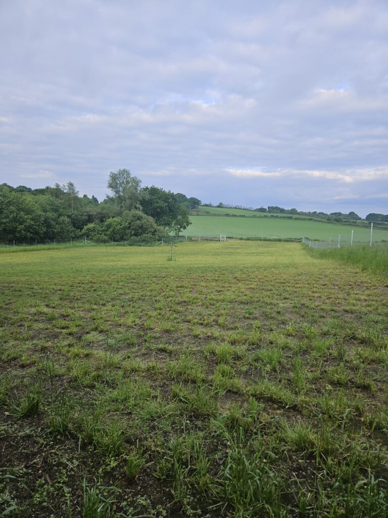 20240525 064005 768x1024