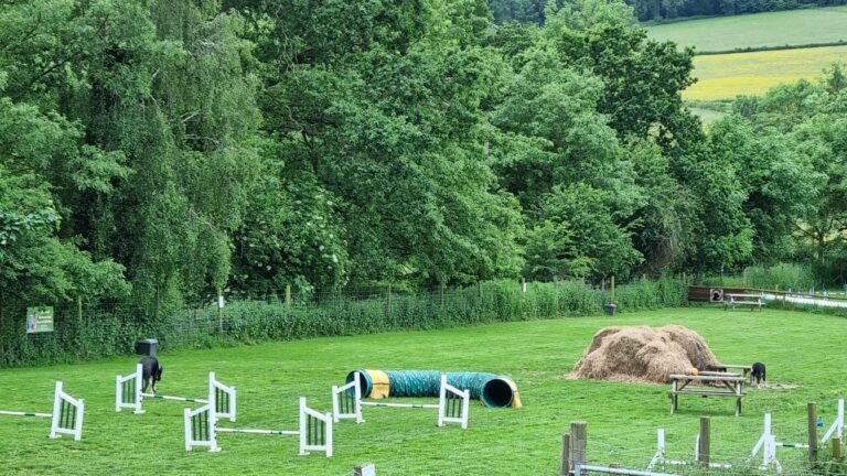 20240603 185057 768x432