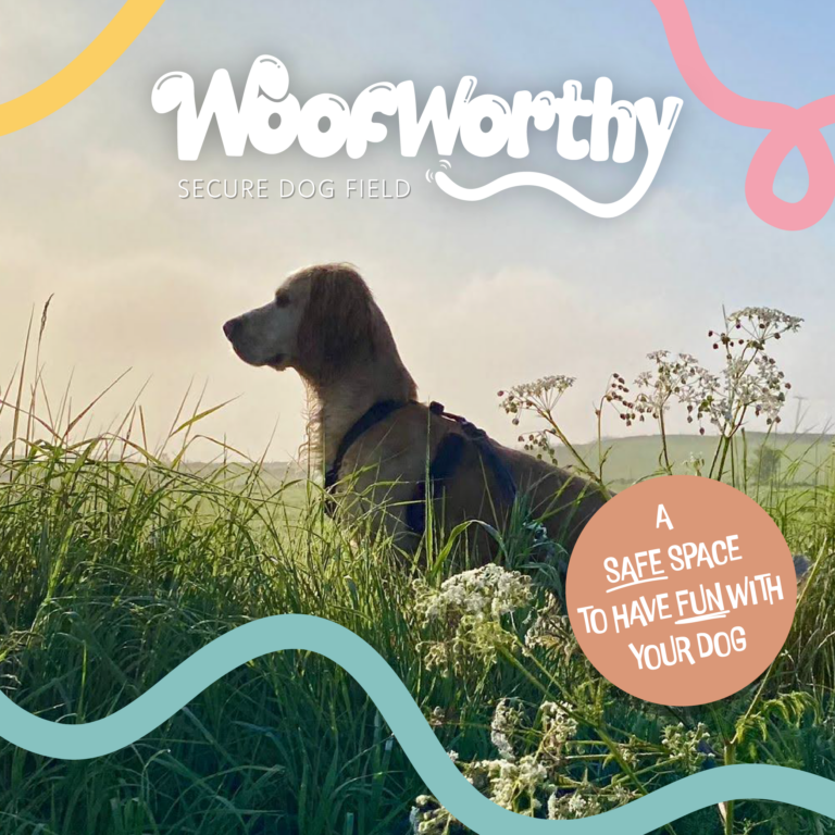 359225170 265821779484184 8305832629093625200 n 1 768x768