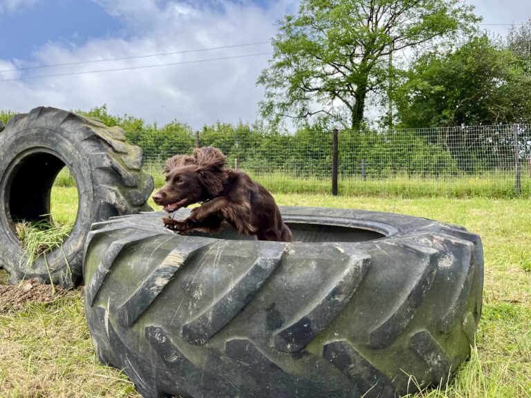 CC956A9F B27F 4B07 85DB 695B589A4E94 768x576