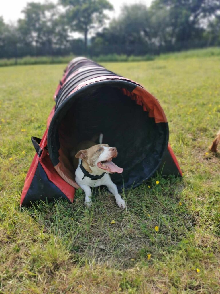 F326268B A14E 41F7 BDE3 894692E913B2 768x1024