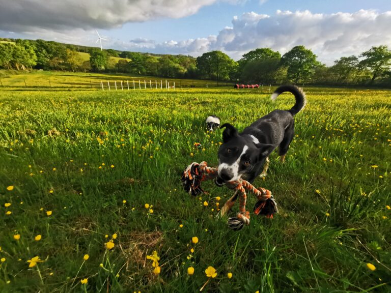 IMG 20240514 192633 768x576