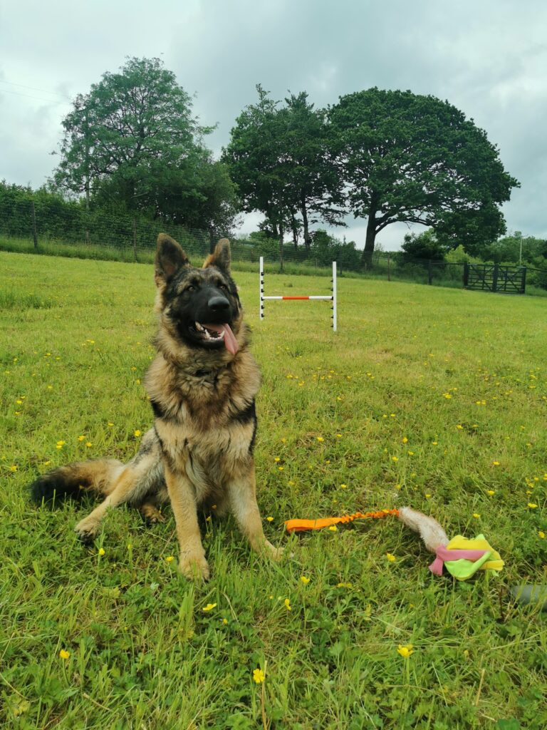 IMG 20240529 133642 768x1024