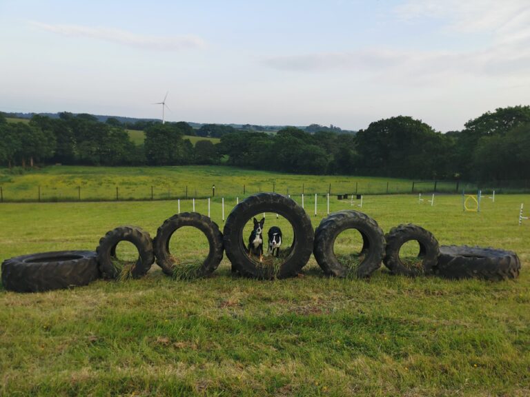 IMG 20240531 201127 768x576