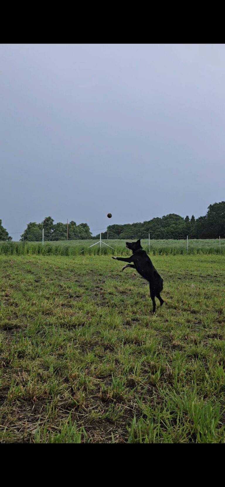 Screenshot 20240526 212412 Gallery 768x1664