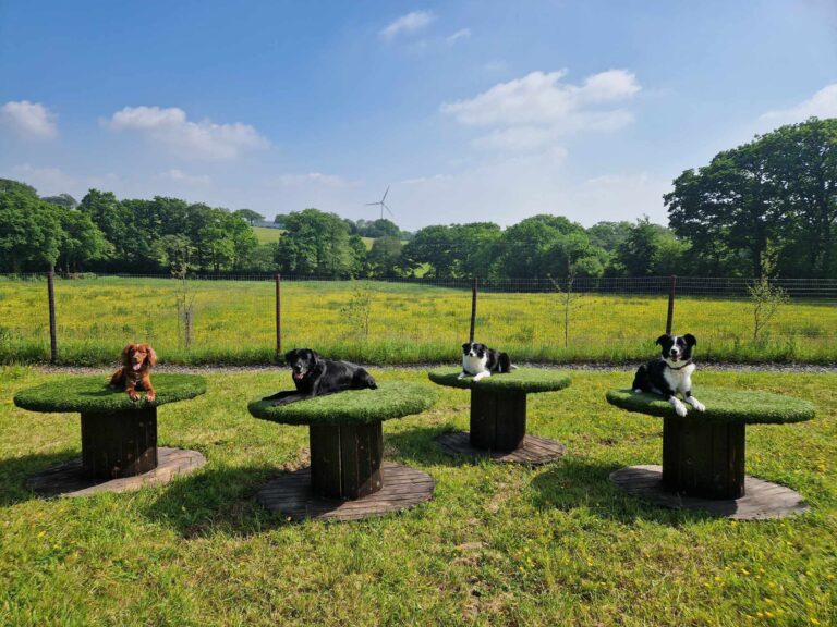 received 772339631379661 768x576