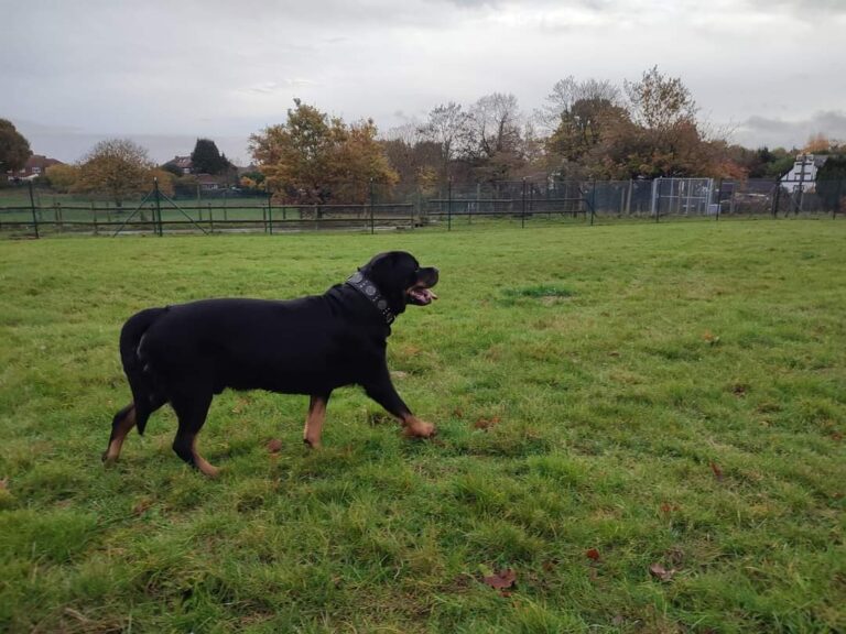 FB IMG 1716407354229 768x576