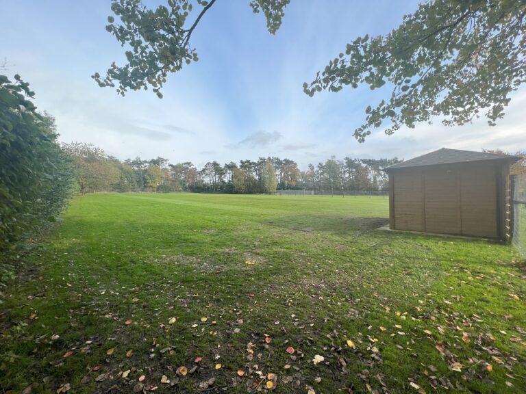 IMG 1457 Copy 768x576