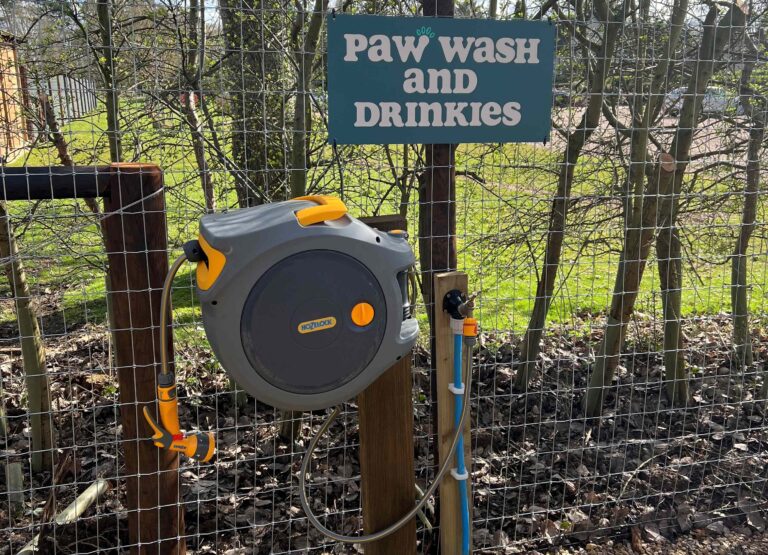 Paw wash and drinkies landscape downsized 768x555