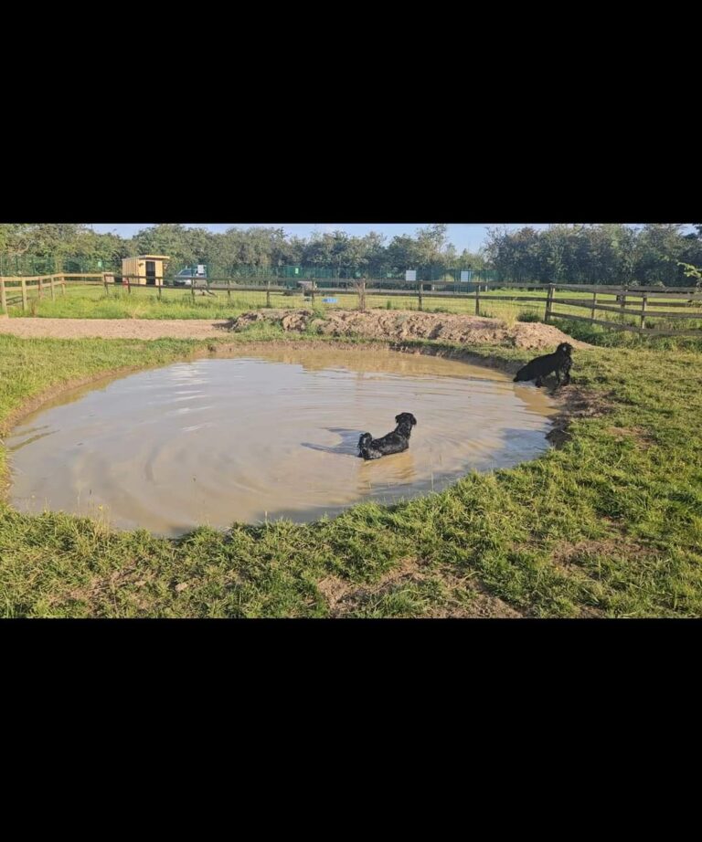 inbound14553263380736523 768x922