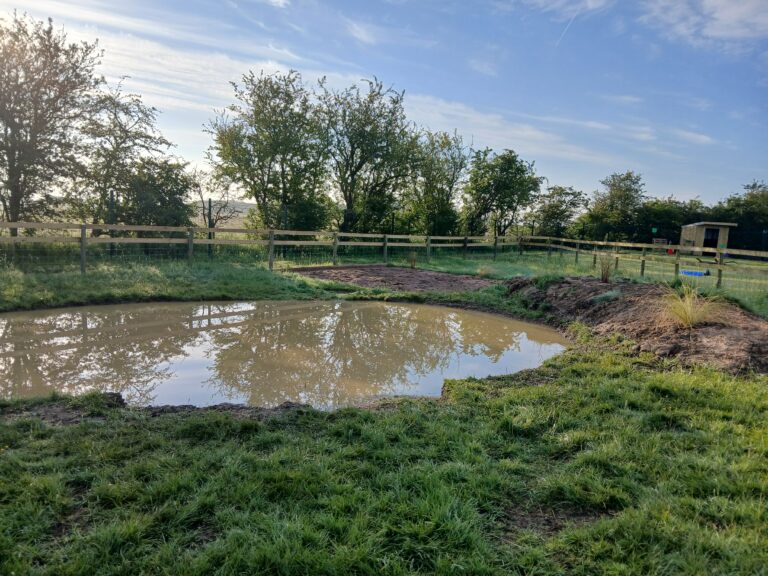 inbound5906870841698795201 768x576