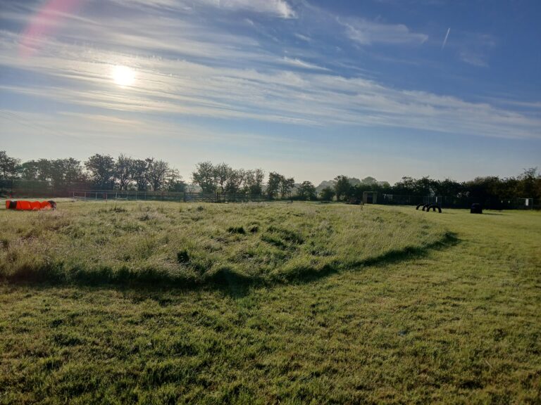 inbound6486955174655567519 768x576