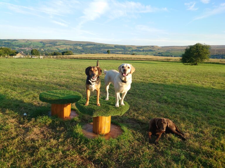 20240729 063248 768x576