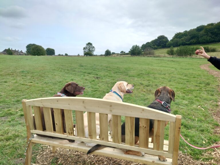 20240818 125315 768x576