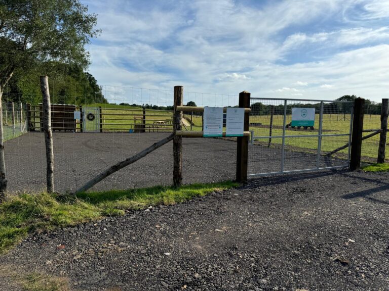 IMG 20240712 WA0019 768x576