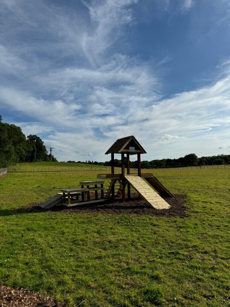 IMG 20240712 WA0034 768x1024