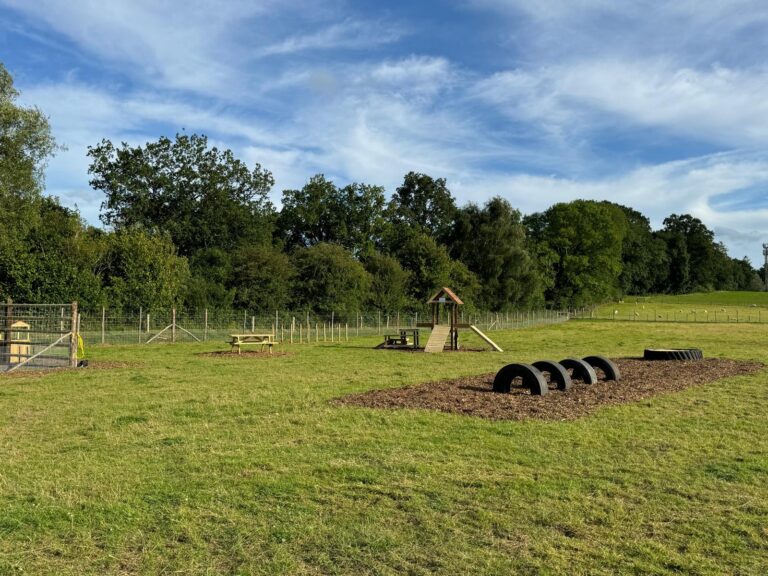 IMG 20240712 WA0039 768x576