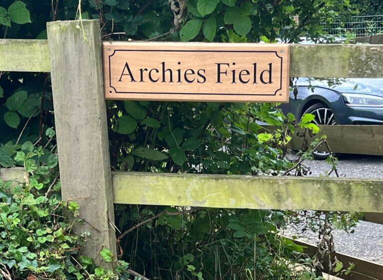 IMG 20240727 WA0009 768x562