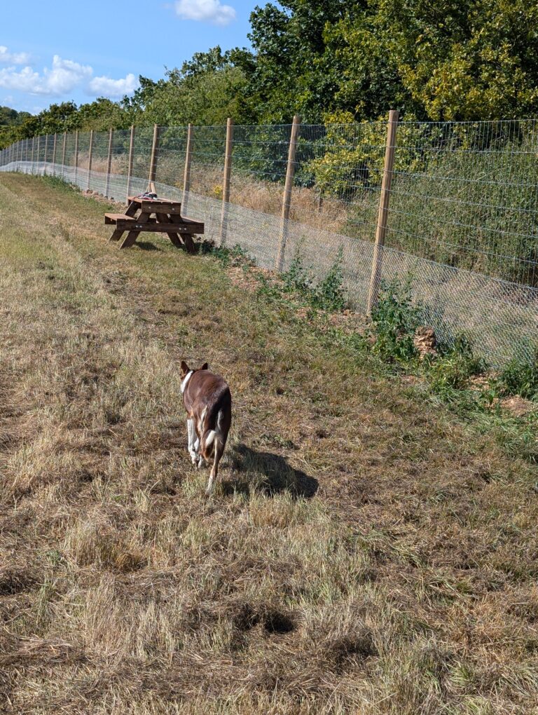 PXL 20240820 144427453 768x1020