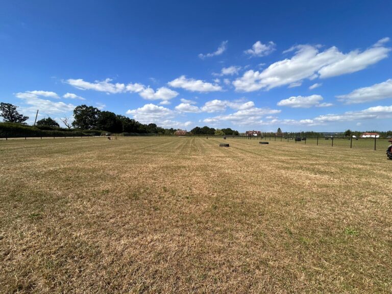 WhatsApp Image 2024 08 13 at 10.45.03 768x576