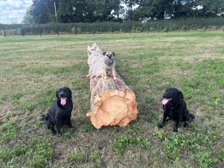 WhatsApp Image 2024 08 13 at 10.45.05 1 768x576