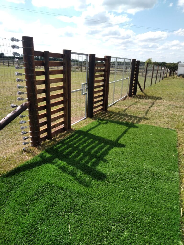 inbound1121832066236120519 768x1024