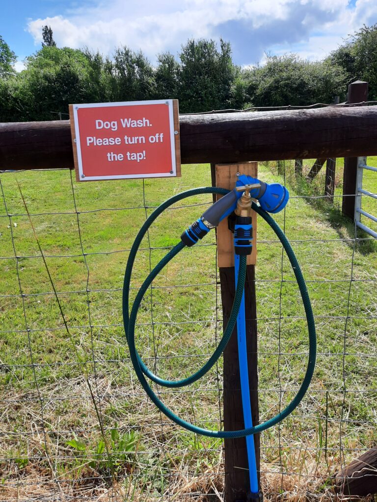 inbound1723287914783806420 768x1024