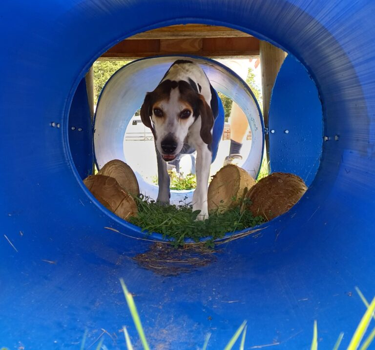 inbound1896196262754962120 768x718