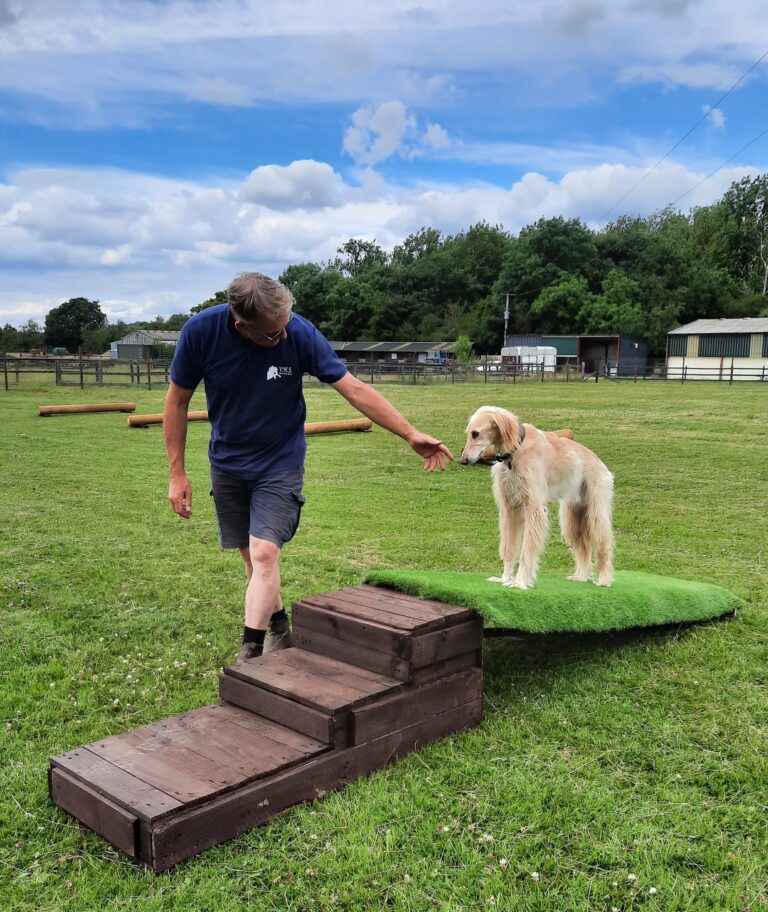 inbound2287790659278749658 768x912