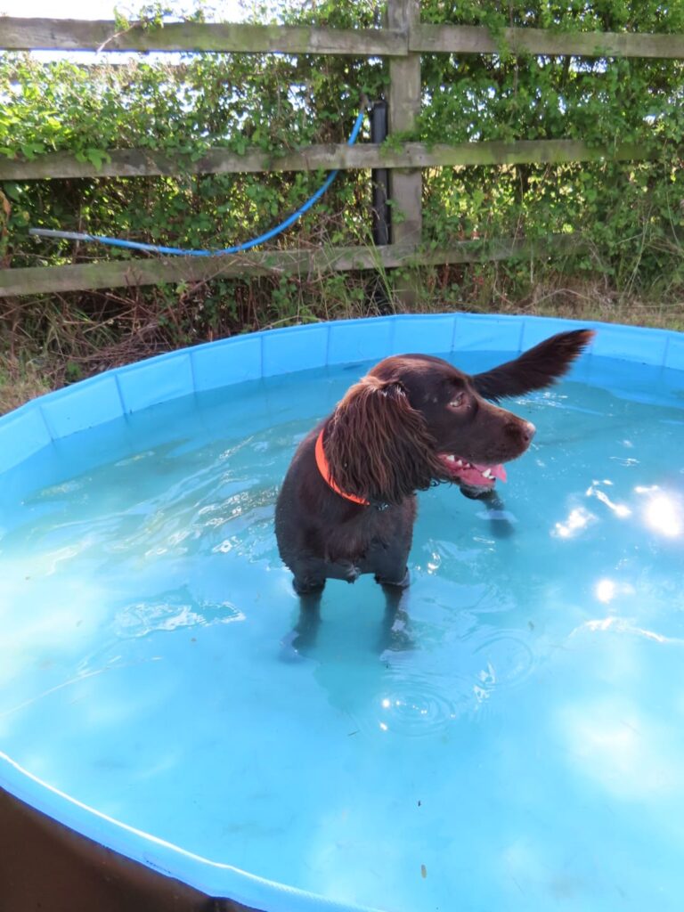 inbound2793483000707007259 768x1024