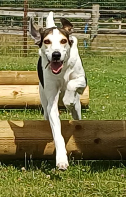 inbound3758981629826751613