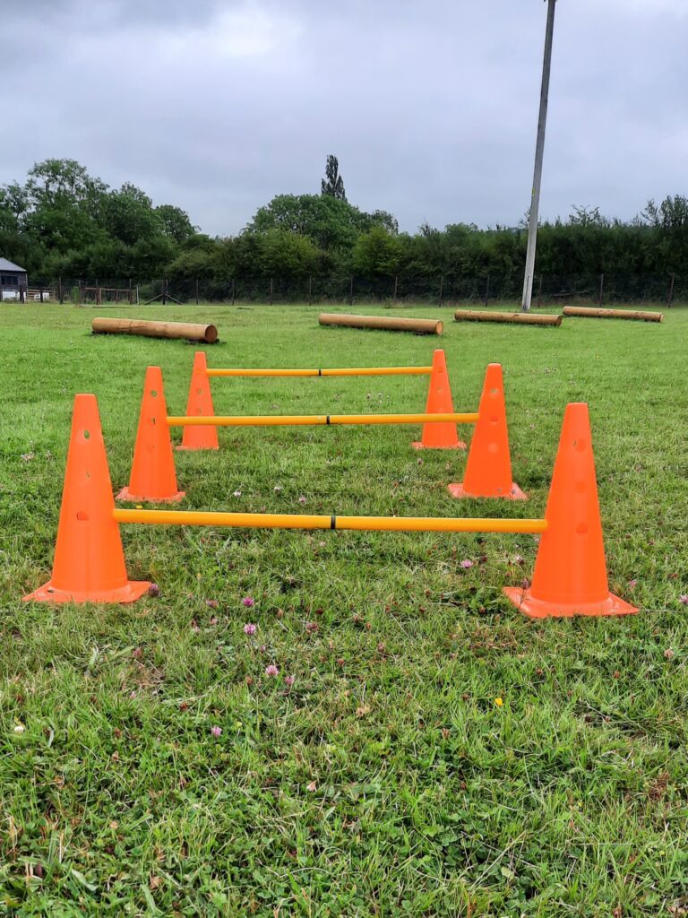 inbound452046922539429039 768x1024