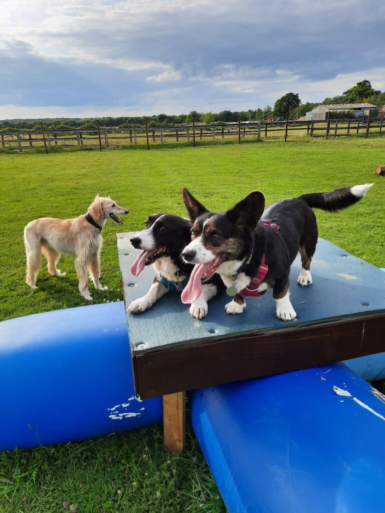 inbound4775524143575827755 768x1024