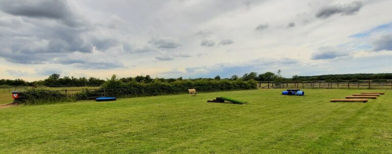 inbound8408451575473372405 768x303