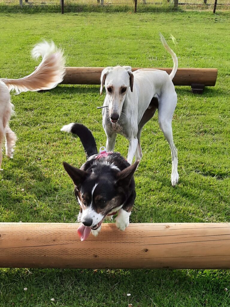 inbound8444297328612630979 768x1024