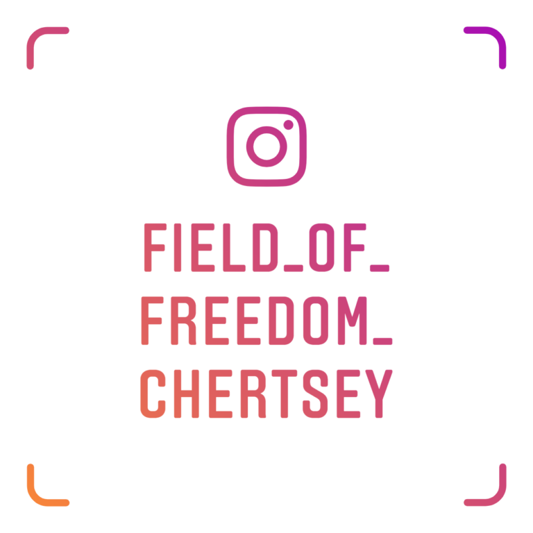 57486582 2271621996253008 3489047988922220544 n 2 768x768