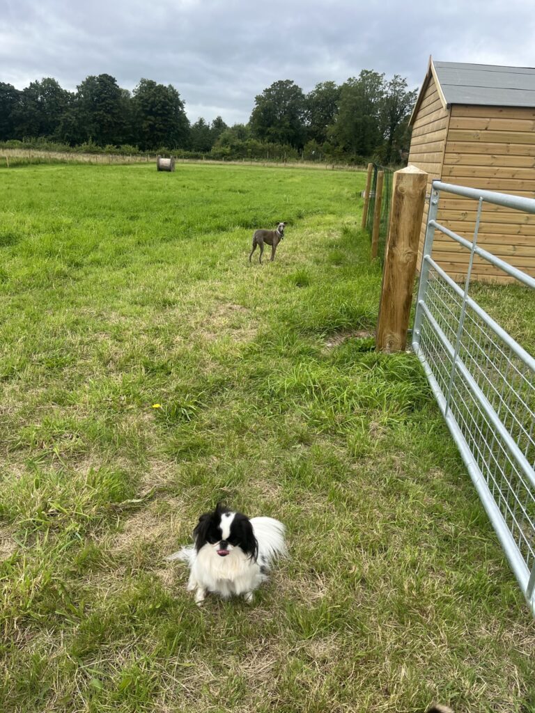 8FD7BDD5 D04A 4AEA 828C 5EF8CB5241FF 768x1024