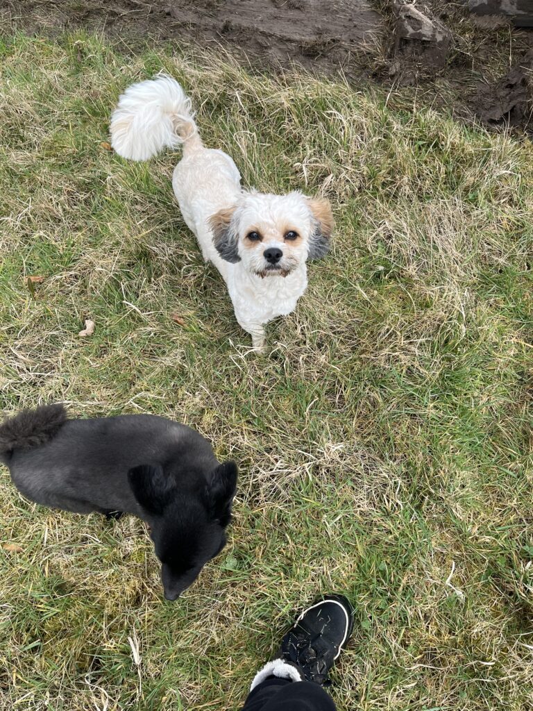 AD79E291 C00B 4E17 8261 5E39B3A5641C 768x1024