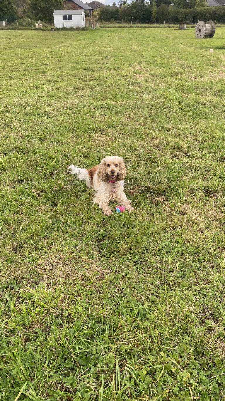 B911A08B 3137 4939 9861 39B953F1D0C9 768x1365