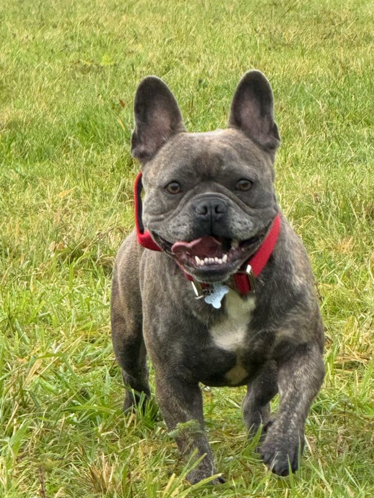 B931B1C2 B50B 4157 BCE4 933B14ECFA2D 768x1024