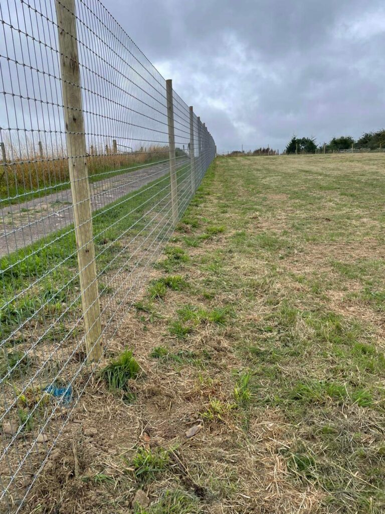 inbound1784281825644771916 768x1024