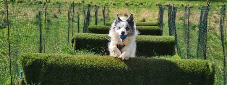 DF Photo Member 010424 3 768x287