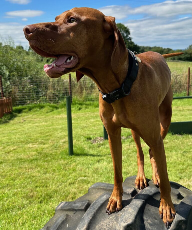 DF Photo Member Photo 090823 2 768x920