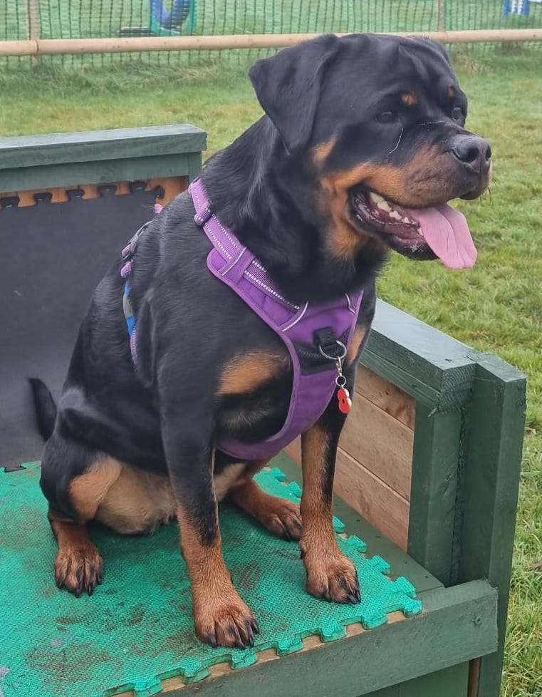 DF Photo Member Photo 161223 2